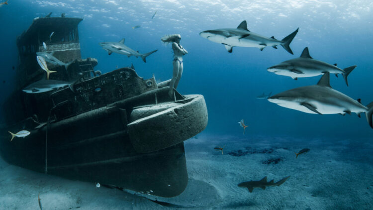 liz parkinson feet 3