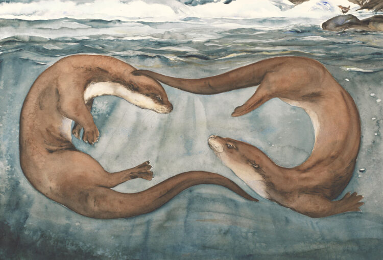 liza bookotter feet 2