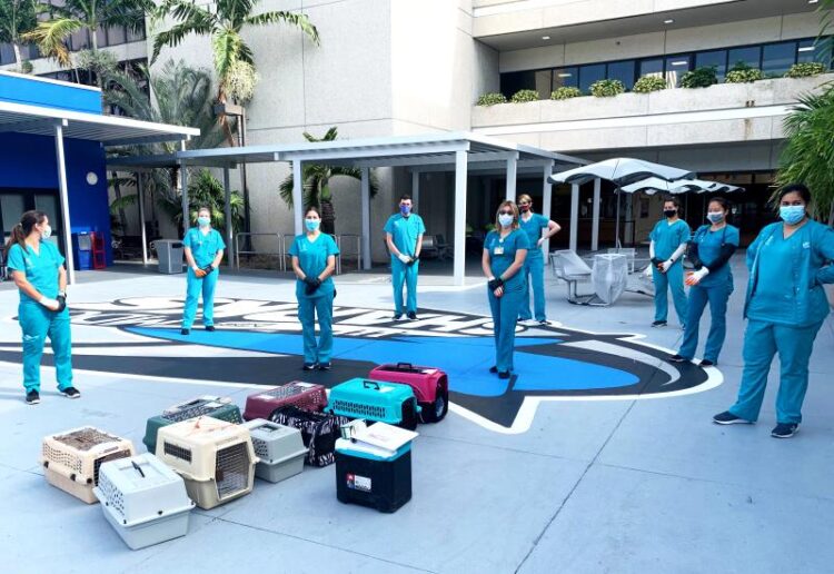 lizaveta alfer feet 3