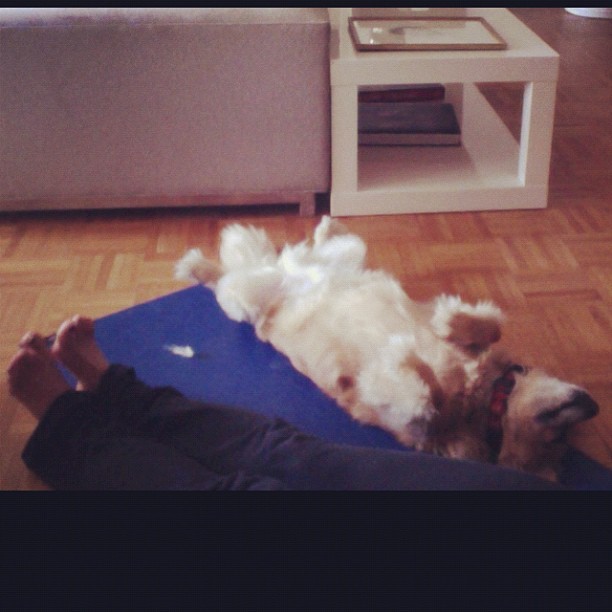 lizz winstead feet 6