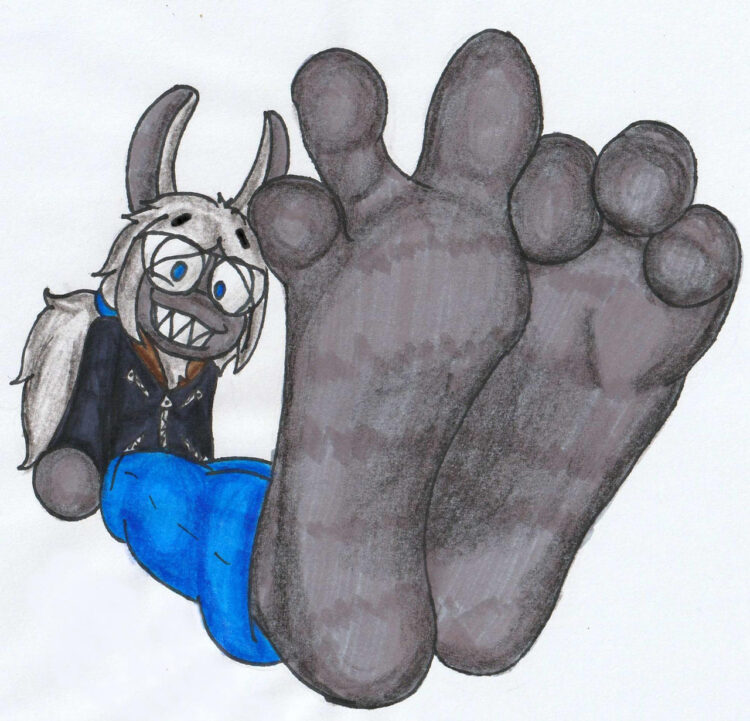 llama arts feet 1