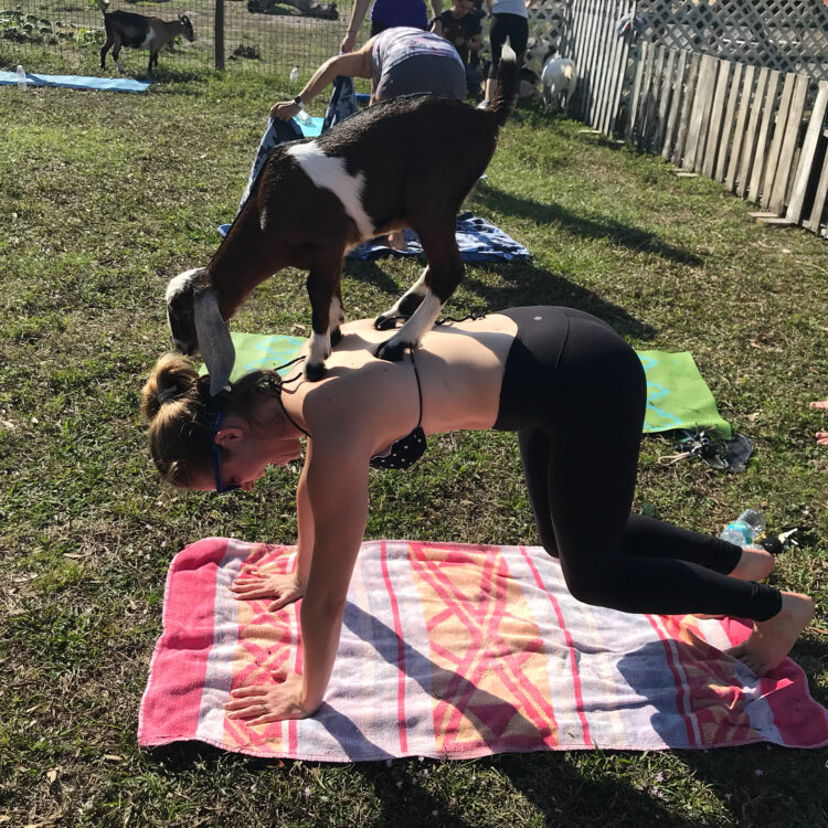 logan rose nelms feet