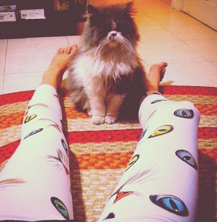 lorena del castillo feet 4