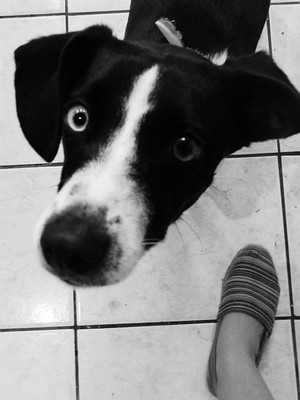 lorena santos feet 4