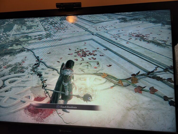 loretta grace feet 5