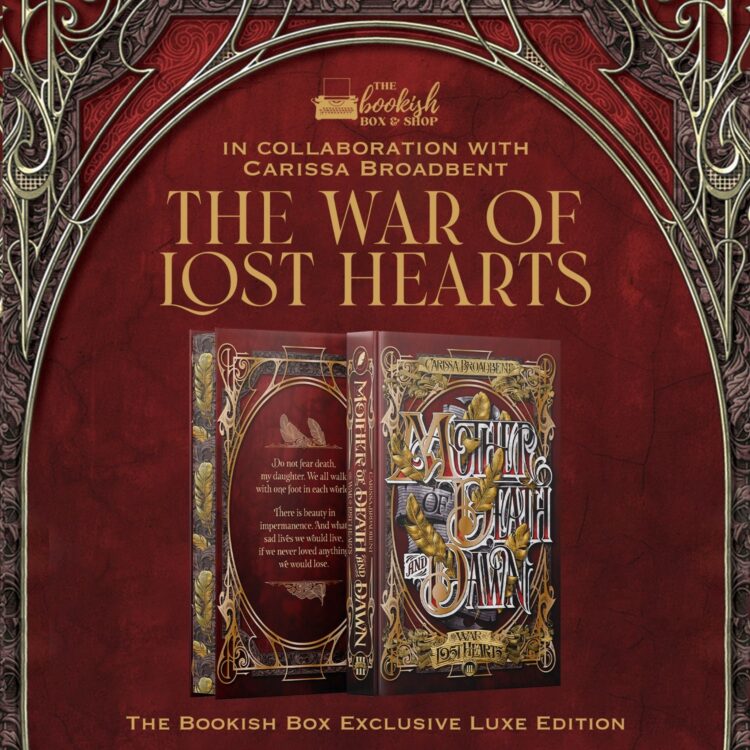 lost in a bookish collection feet 3