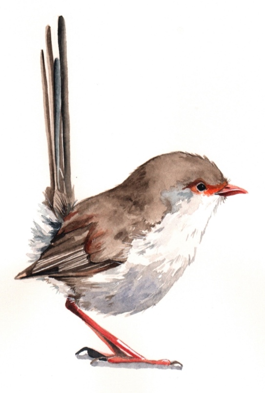 louise de masi feet 2