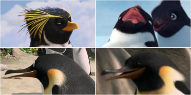 lucciana happe feet 6