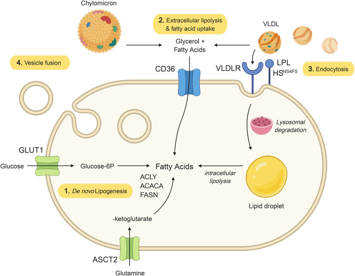 lucia beltran chavarro feet 5