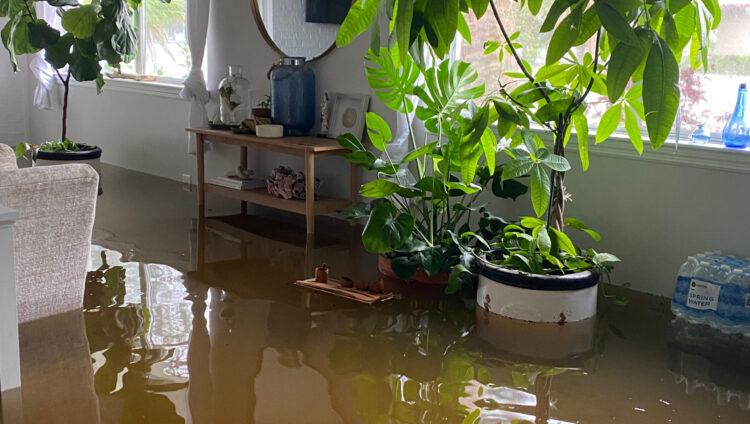 lucia fernandez feet 3 scaled