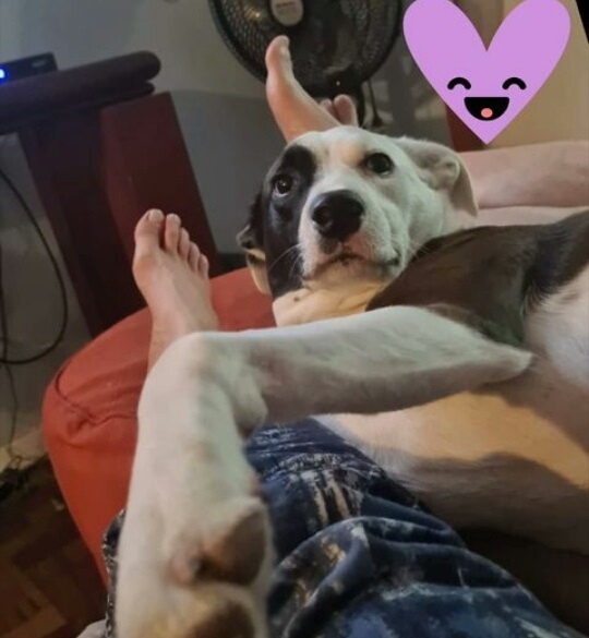 luciana genro feet 1