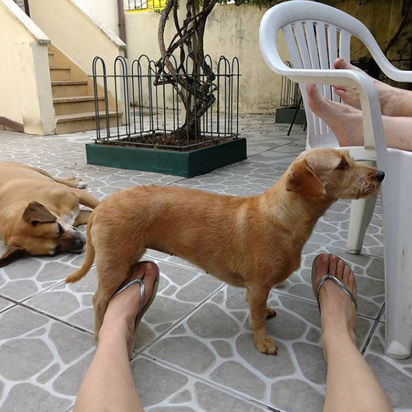 luciana genro feet 3