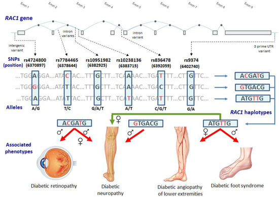 luciana praino feet 3