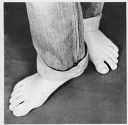 luciana vendramini feet