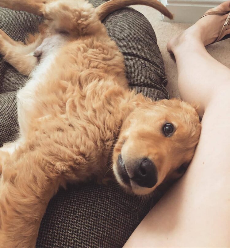 lucy bella earl feet