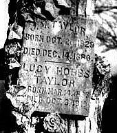 lucy hobbs taylor feet 1