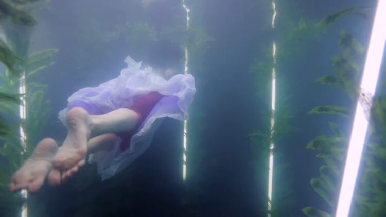 lucy schwartz feet 6