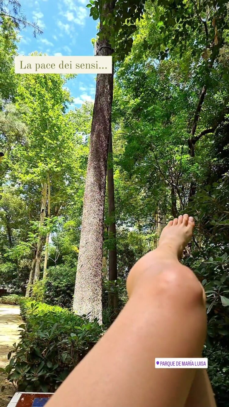 luisa russo feet 2