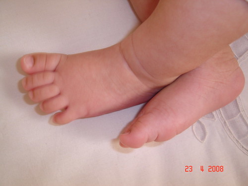 luiza carvalho feet 4