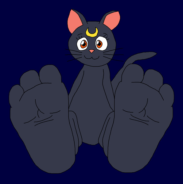 luna the cat feet 1