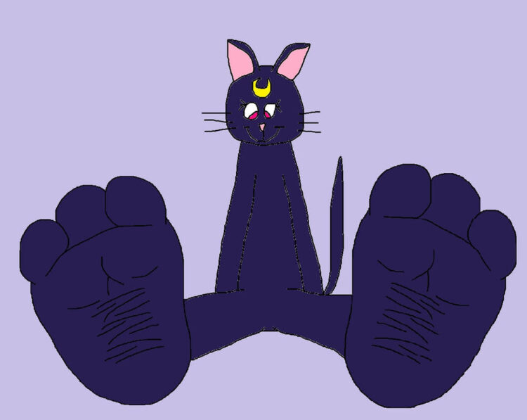 luna the cat feet