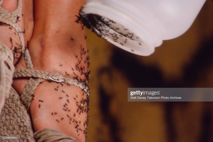 lynda day george feet 3