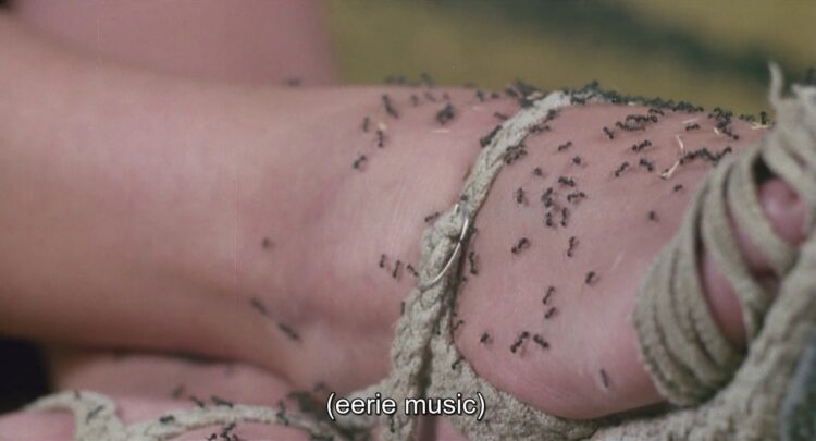 lynda day george feet 5