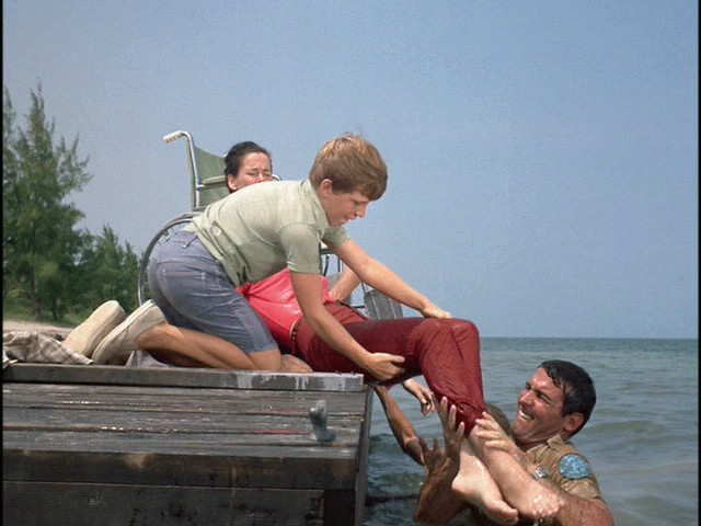 Lynda Day George Feet