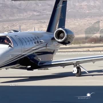 lynn petronella feet 4