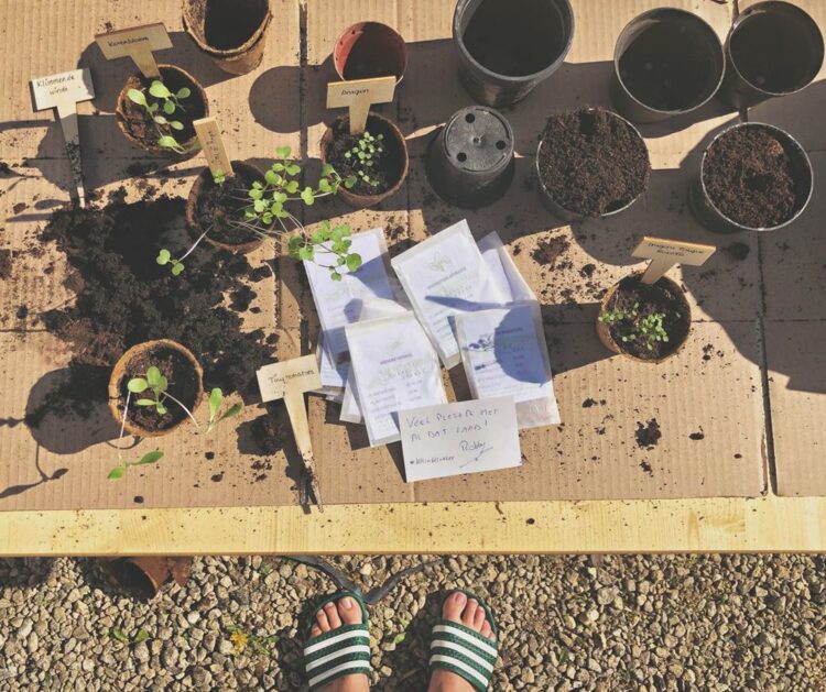 lynn van royen feet 3