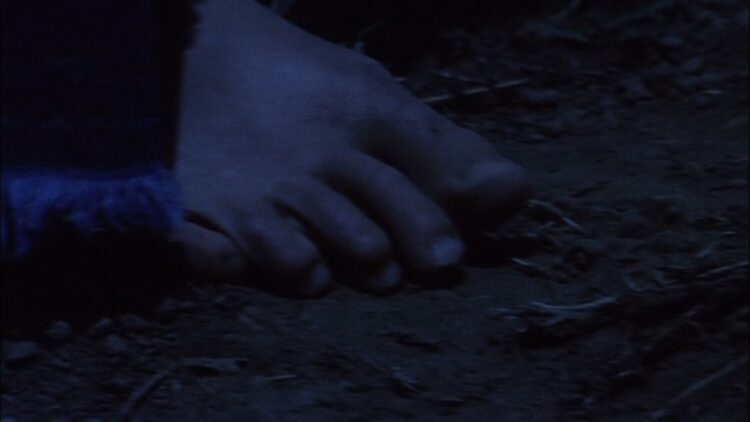 lynne frederick feet 5
