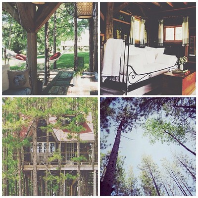 lynne knowlton feet 6