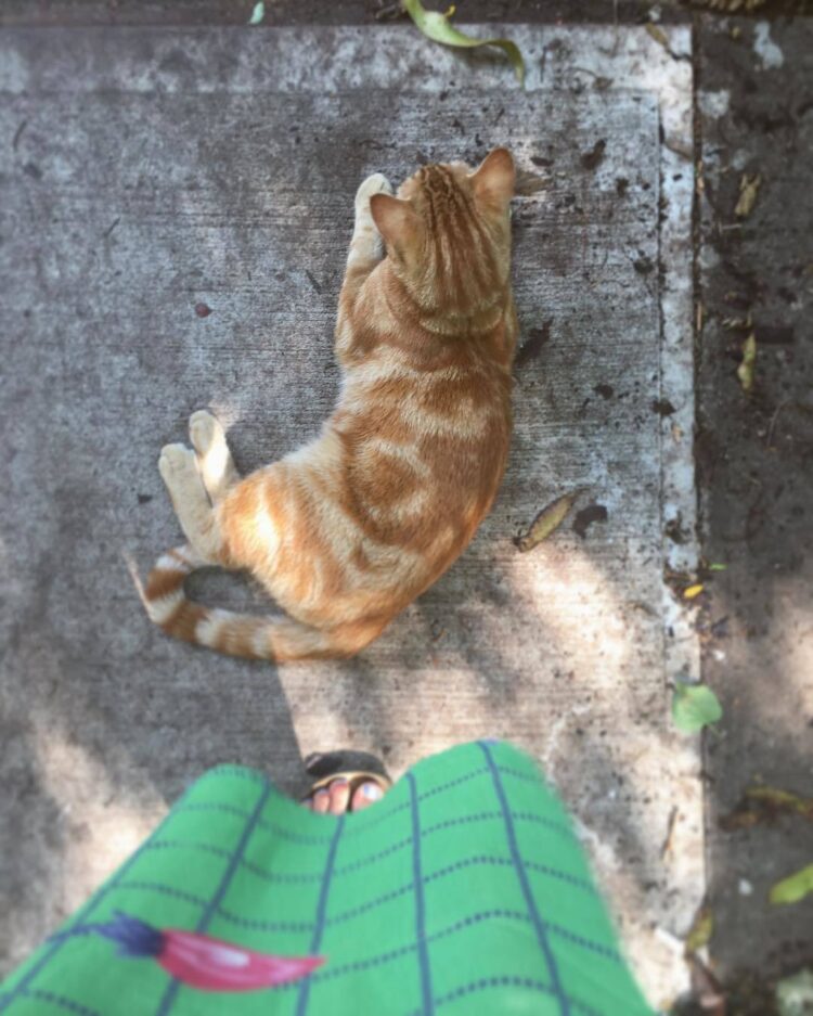 madeline weinstein feet 4