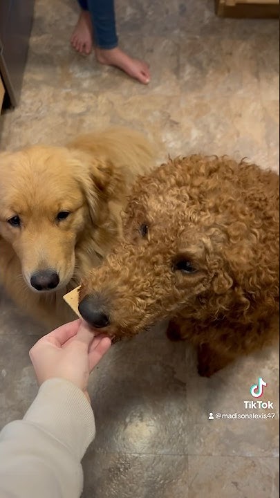 madison alexis feet 1