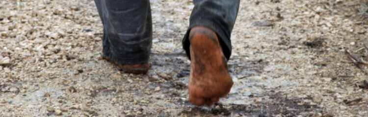 madison farmer feet