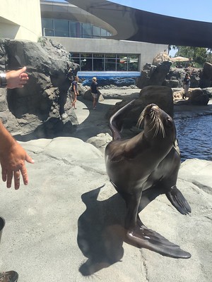 madison nelson feet 2