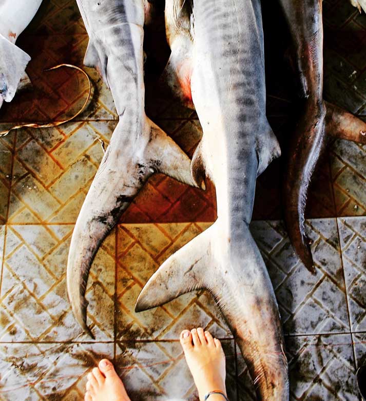 madison stewart feet 1