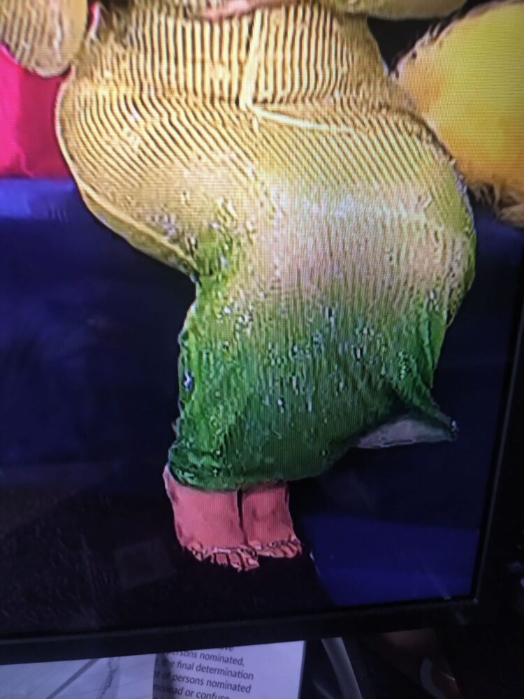 mae muller feet 3 scaled