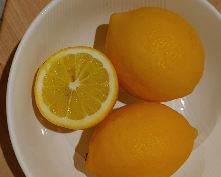 maegan lemons feet 3