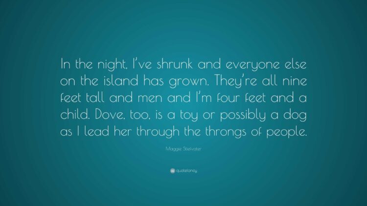 maggie stiefvater feet 2 scaled