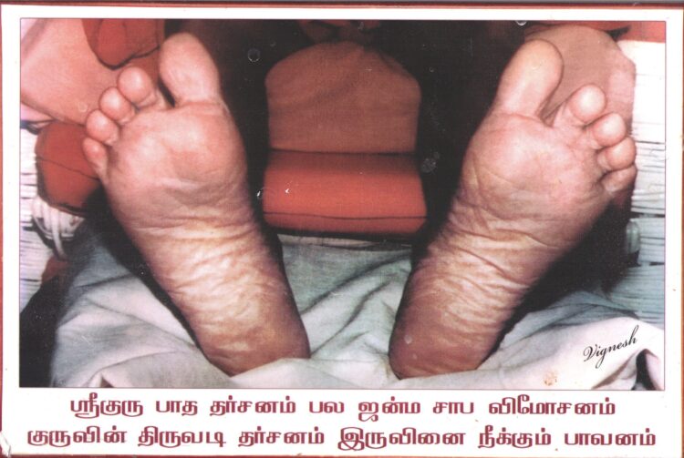 maha maven feet 6 scaled