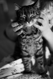 maja jacobsson feet 1