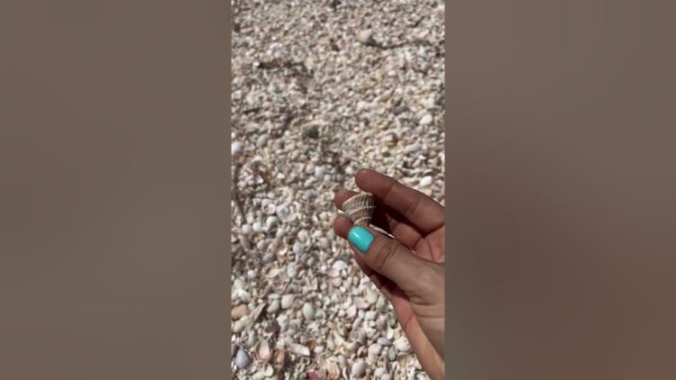 maka pisarchik feet 2