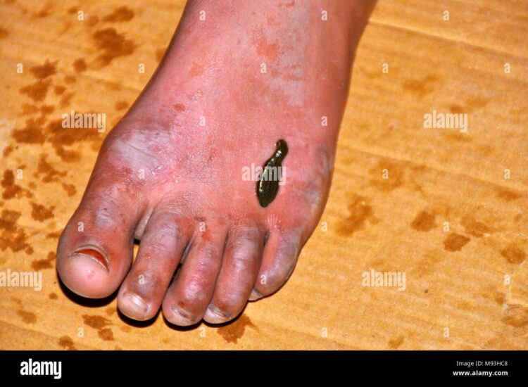 malak al mousa feet 6