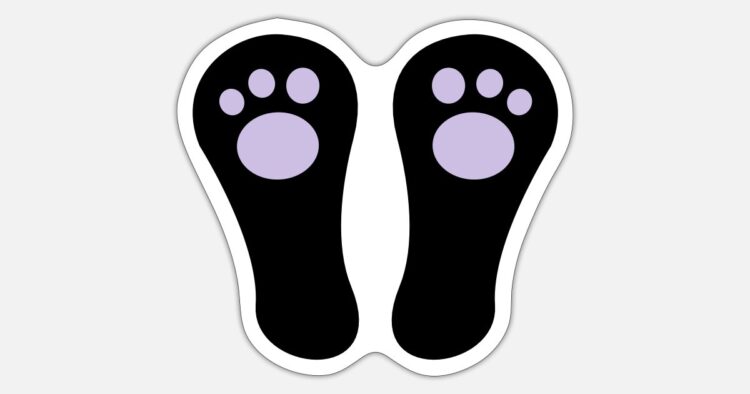 maldita coneja feet 5