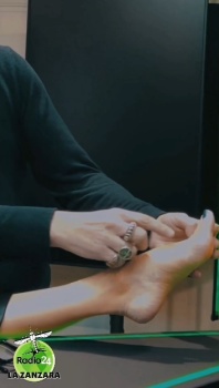 malena nazionale feet 2