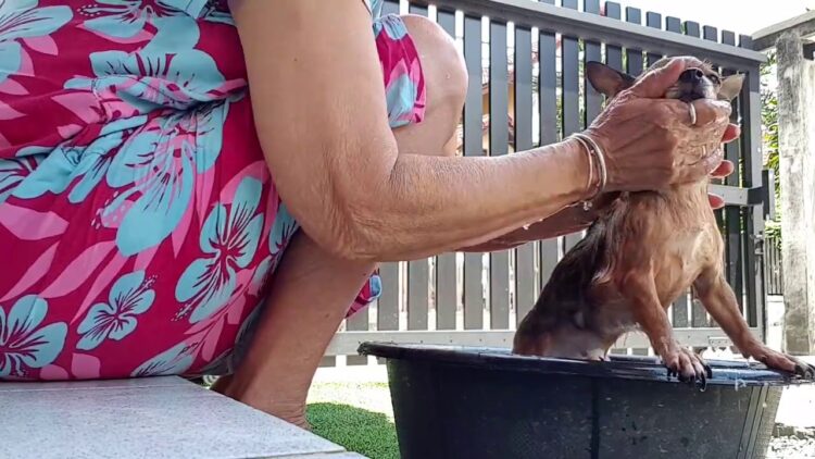 malinda herman feet 6