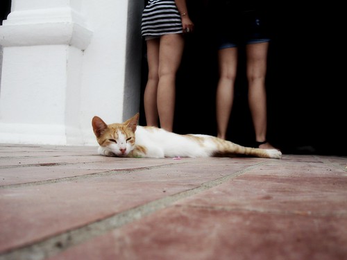 marcela gallego feet 6