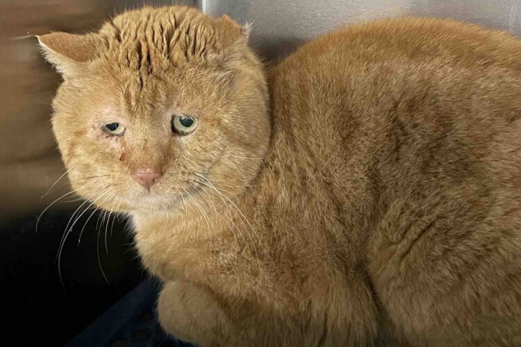 marcia seager feet 3