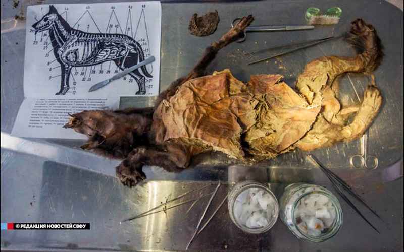 margaret ann neve feet 3